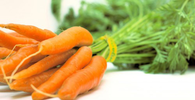 Cà rốt là món ăn có thể gây vô sinh