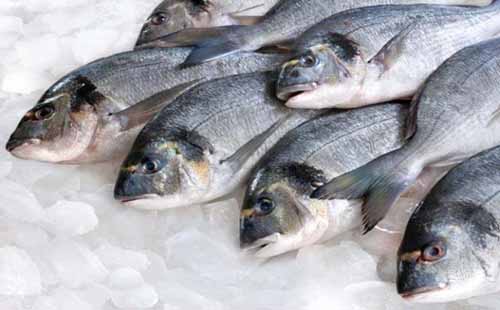 Cá là đáp án cho rối loạn cương dương nên ăn gì?