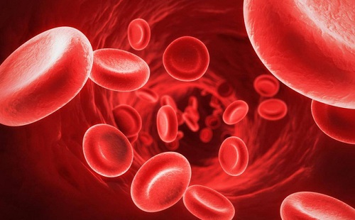 Đặc điểm suy thận thiếu máu ở nam giới