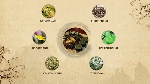 Dược liệu tại nhà thuốc Đỗ Minh Đường được bào chế từ 100% thảo mộc tự nhiên