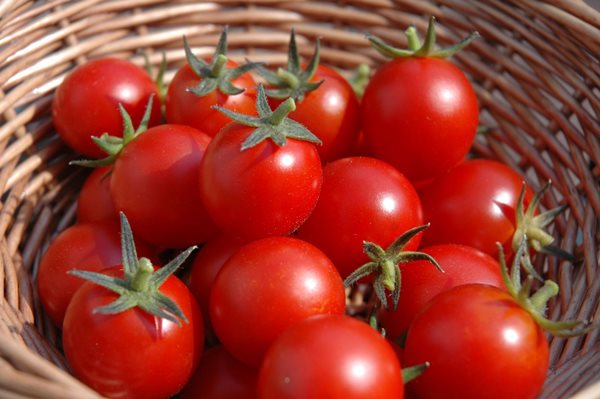thực phẩm tốt cho tinh trùng - cà chua