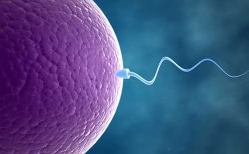 Tinh trùng yếu có thụ thai được không?