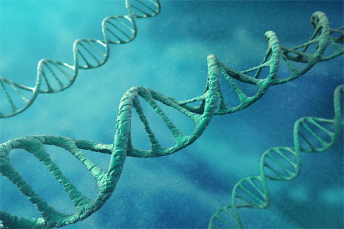 Vô sinh do di truyền thường vi bất thường ở nhiễm sắc thể